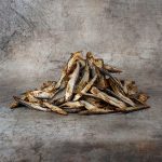 Sprats