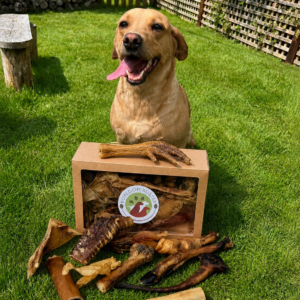 Boredom Buster Box
