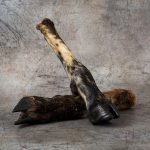Lambs Trotters with Hair Lambs Trotters with Hair