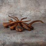 Wild Boar Tails