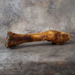 Cow Leg