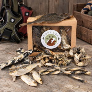 The Fishy Selection Box