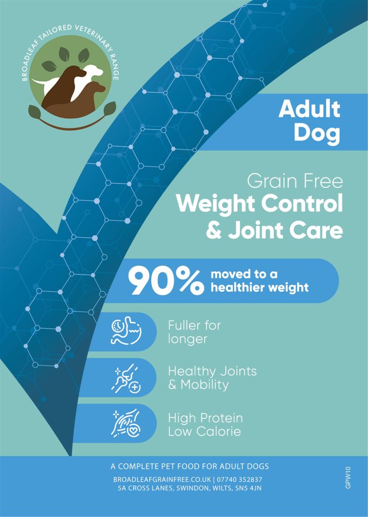 Understanding Your Dog’s Dietary Needs
