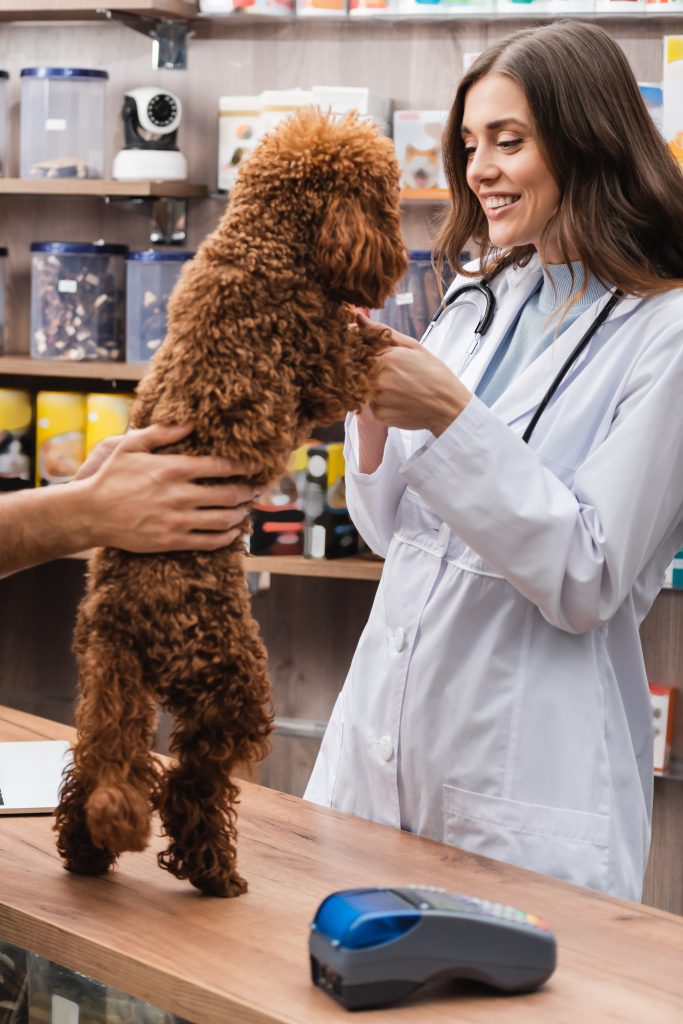 Grain-Free Diets for Dogs - Benefits and Myths