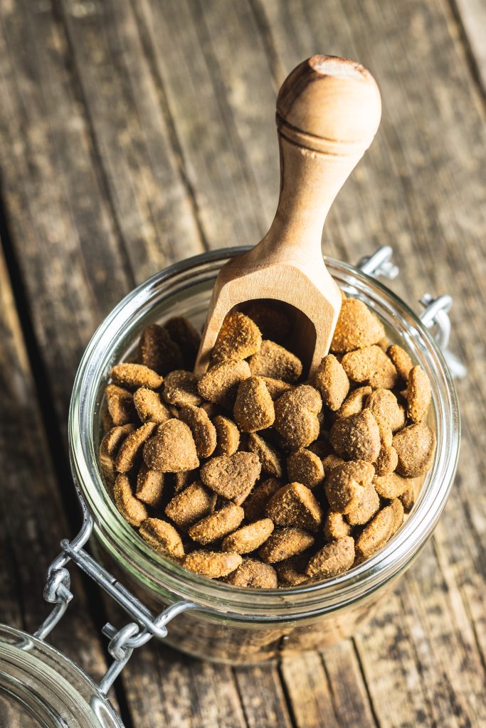 Understanding Food Allergies in Dogs