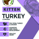 Kitten Turkey & Chicken