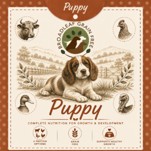 Puppy Food
