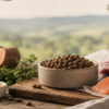 Quality ingredients in dog food