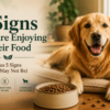 Golden Retriever lying beside a full food bowl, illustrating the signs that it may be time to review your dog's diet.