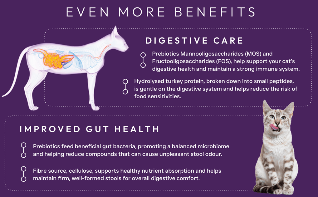 Peptide+ Gastrointestinal Digestive Care – Grain Free Cat Food - Image 3