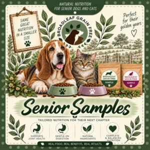 Senior Samples