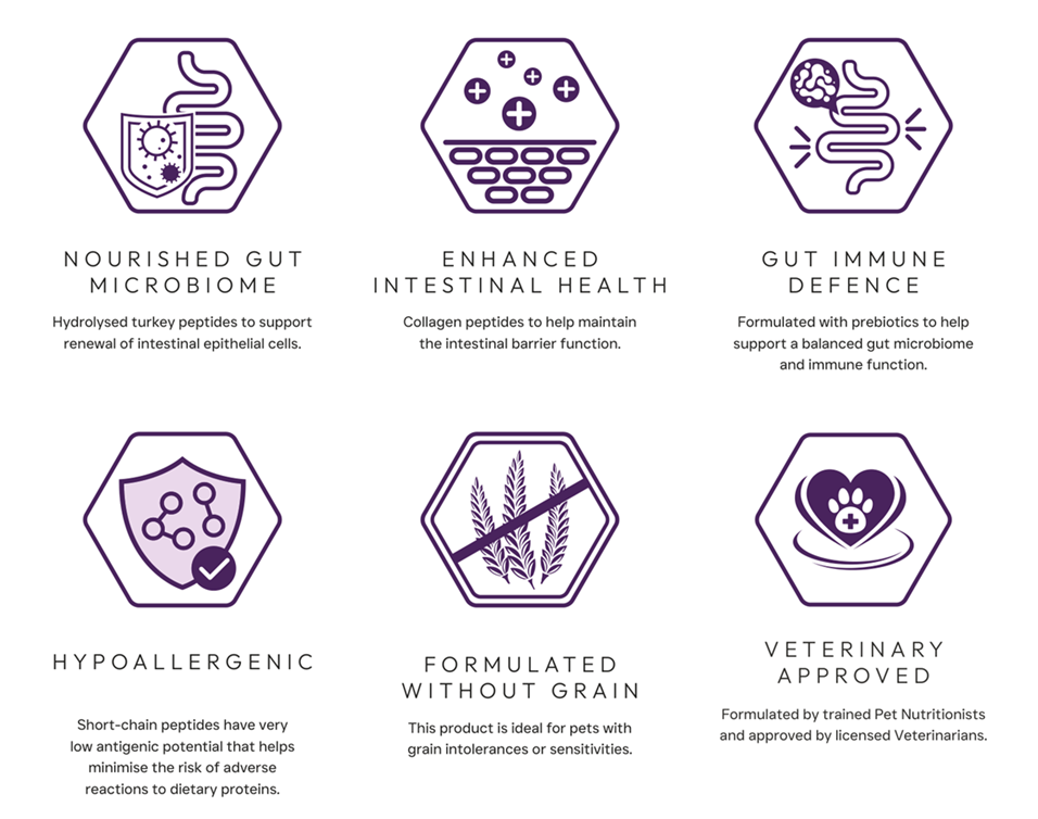 Peptide+ Gastrointestinal Digestive Care – Grain Free Cat Food - Image 4