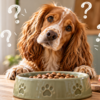 5 Dog Feeding Myths Every Owner Should Know
